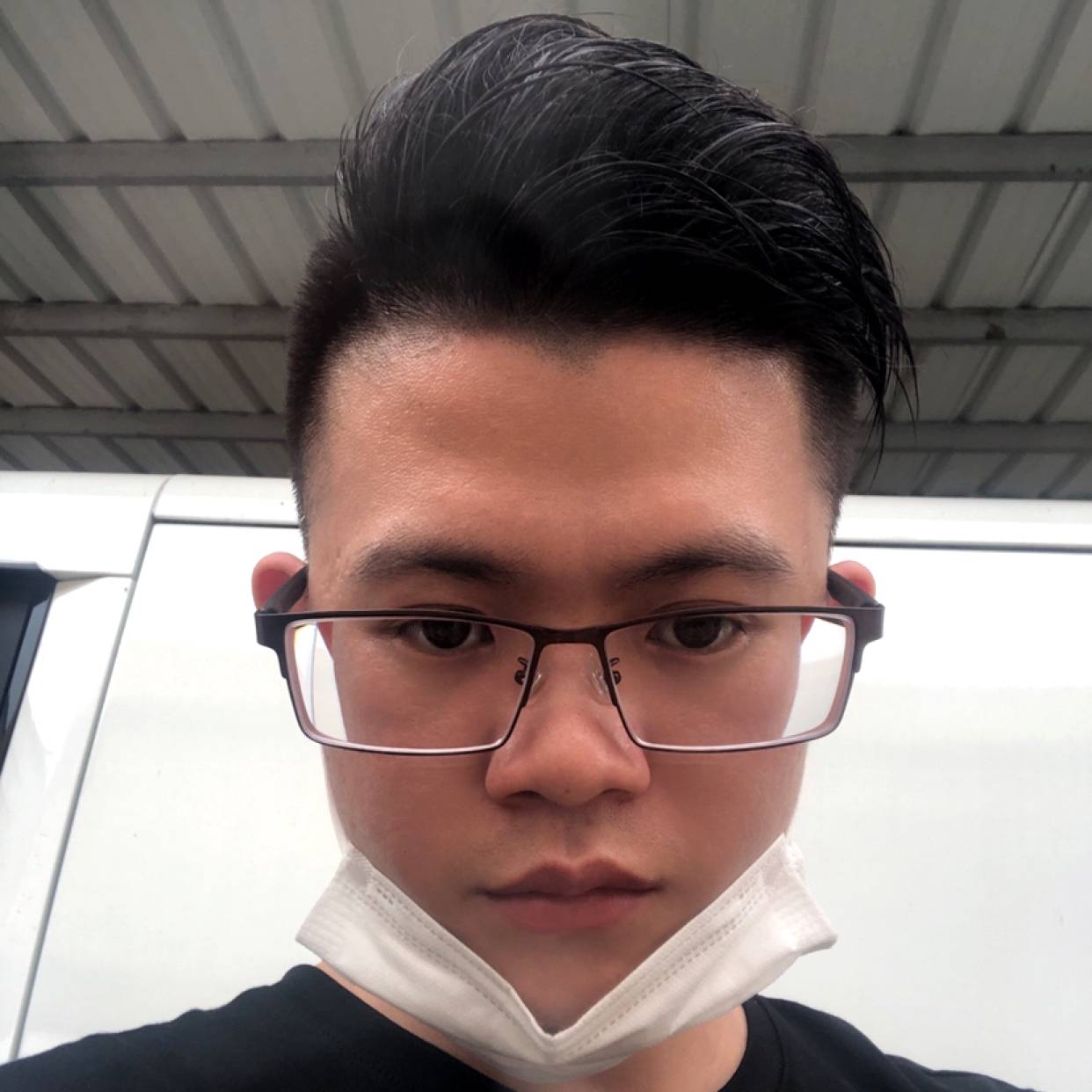 树叶若梦的照片