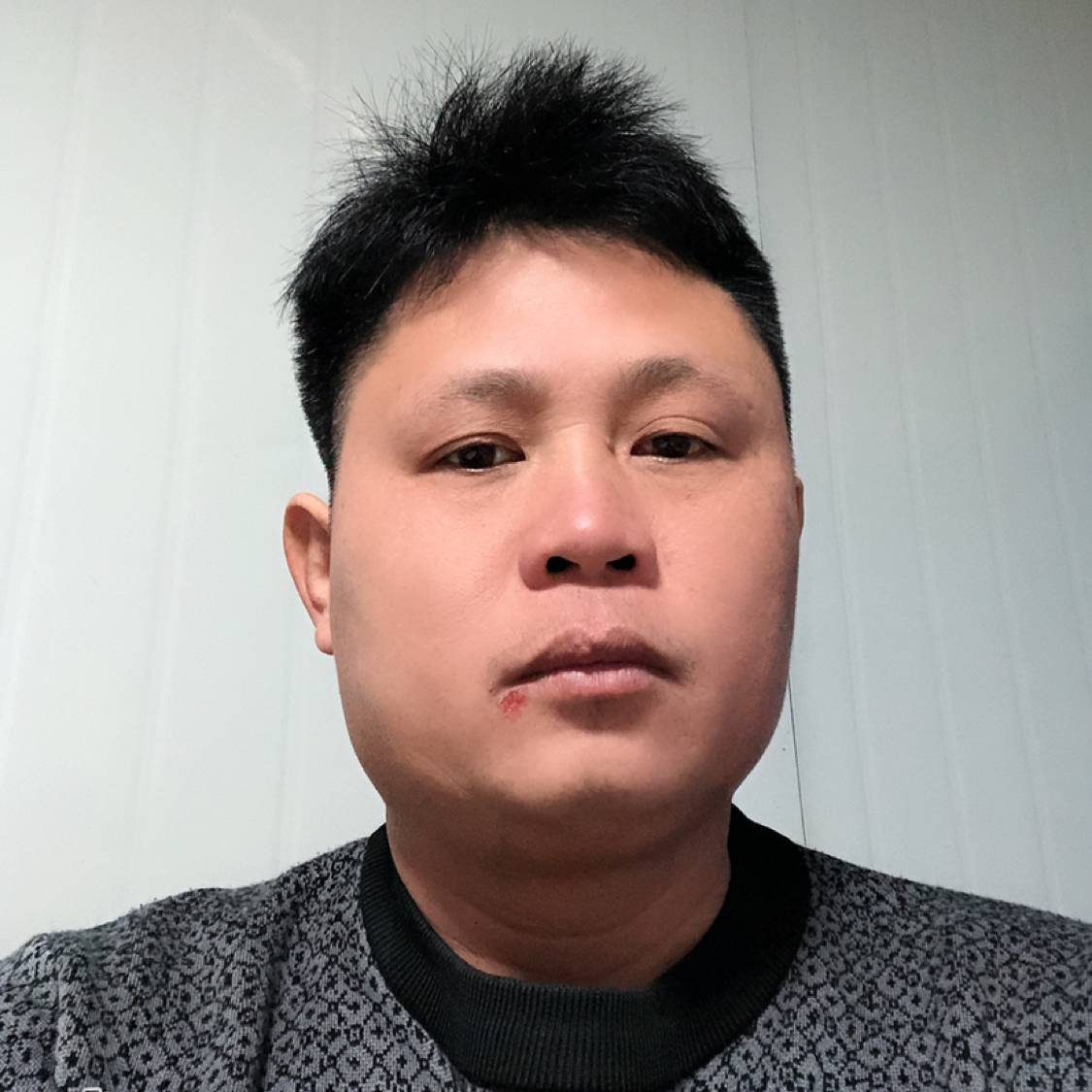从容停止花生的照片