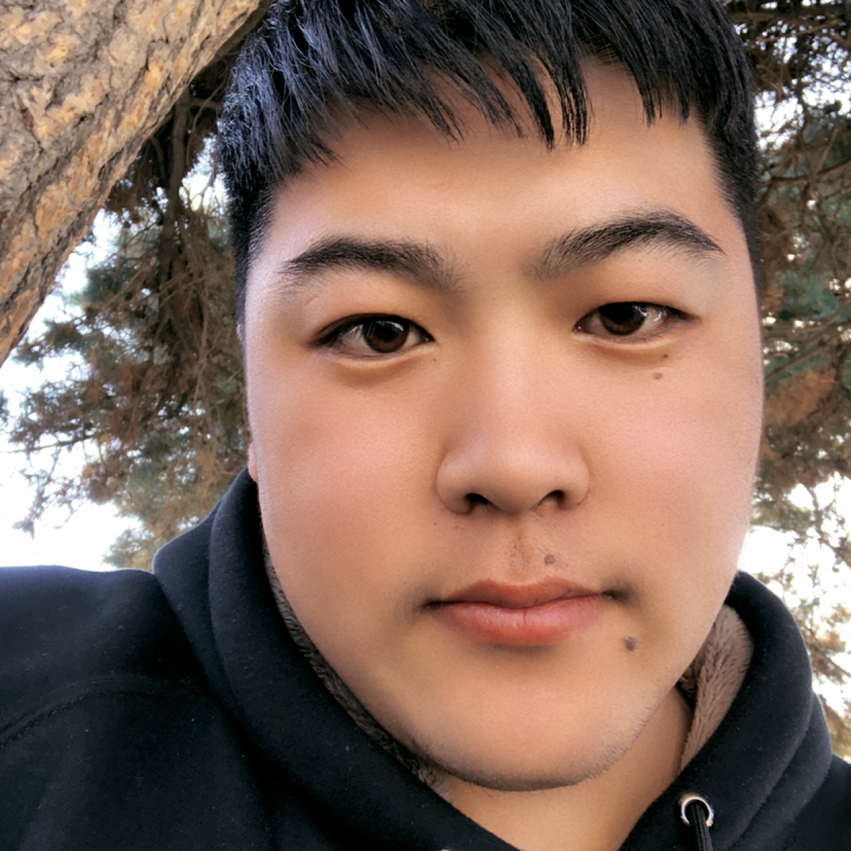害怕那流年的照片