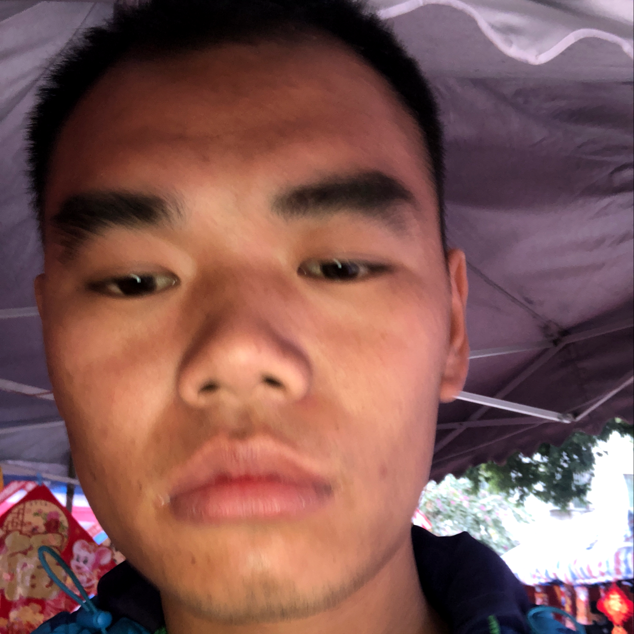 土豪回眸小虾米的照片