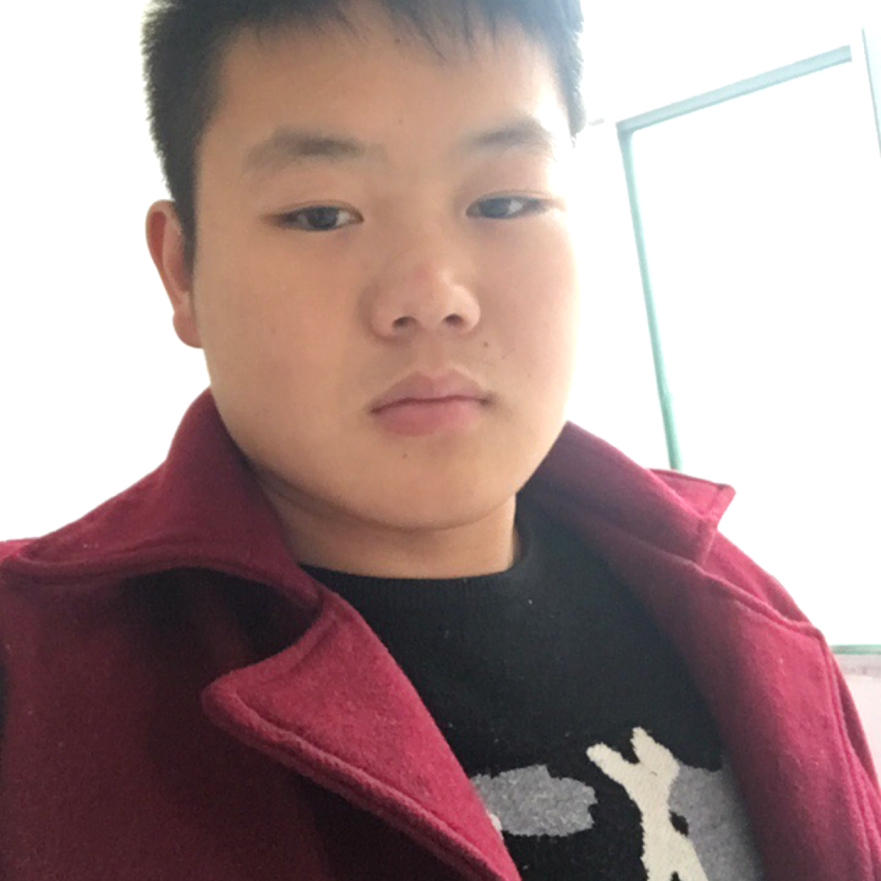 鳗鱼踢黄蜂的照片