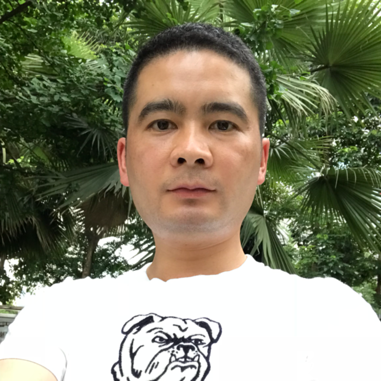 缘分羽翼的照片