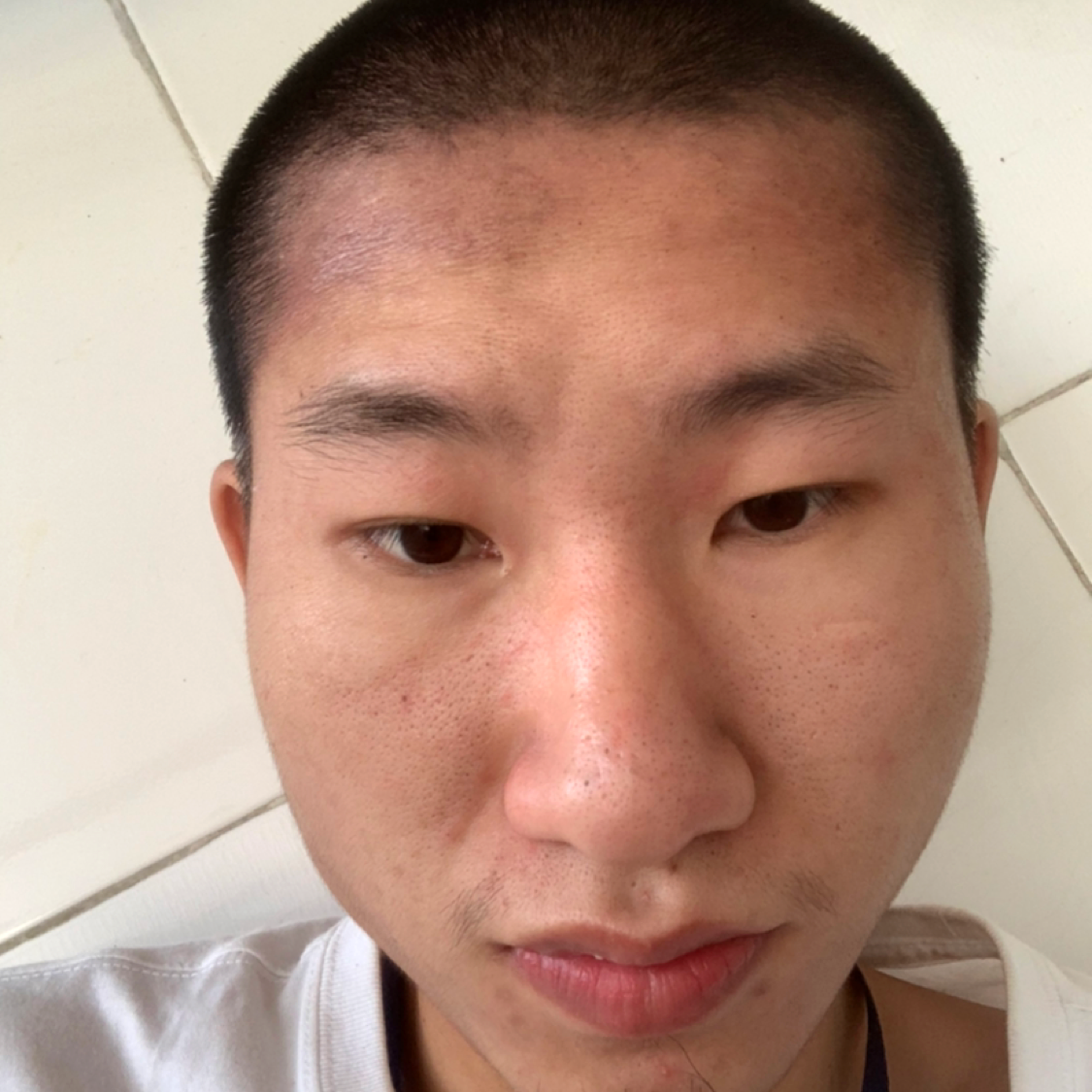 蜜蜂拿潇洒的照片