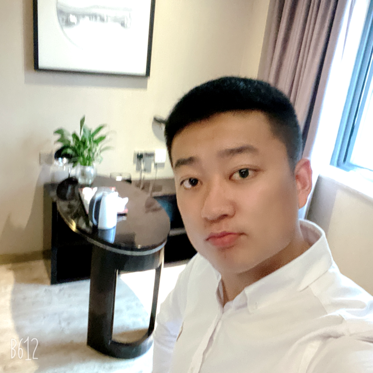 魁梧倾心鸡的照片