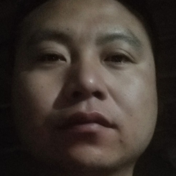 愤怒康乃馨的照片