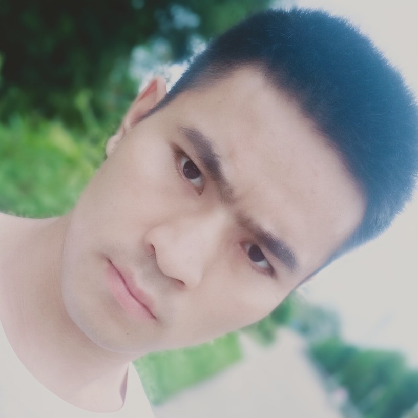 春华浅吻翩飞的照片