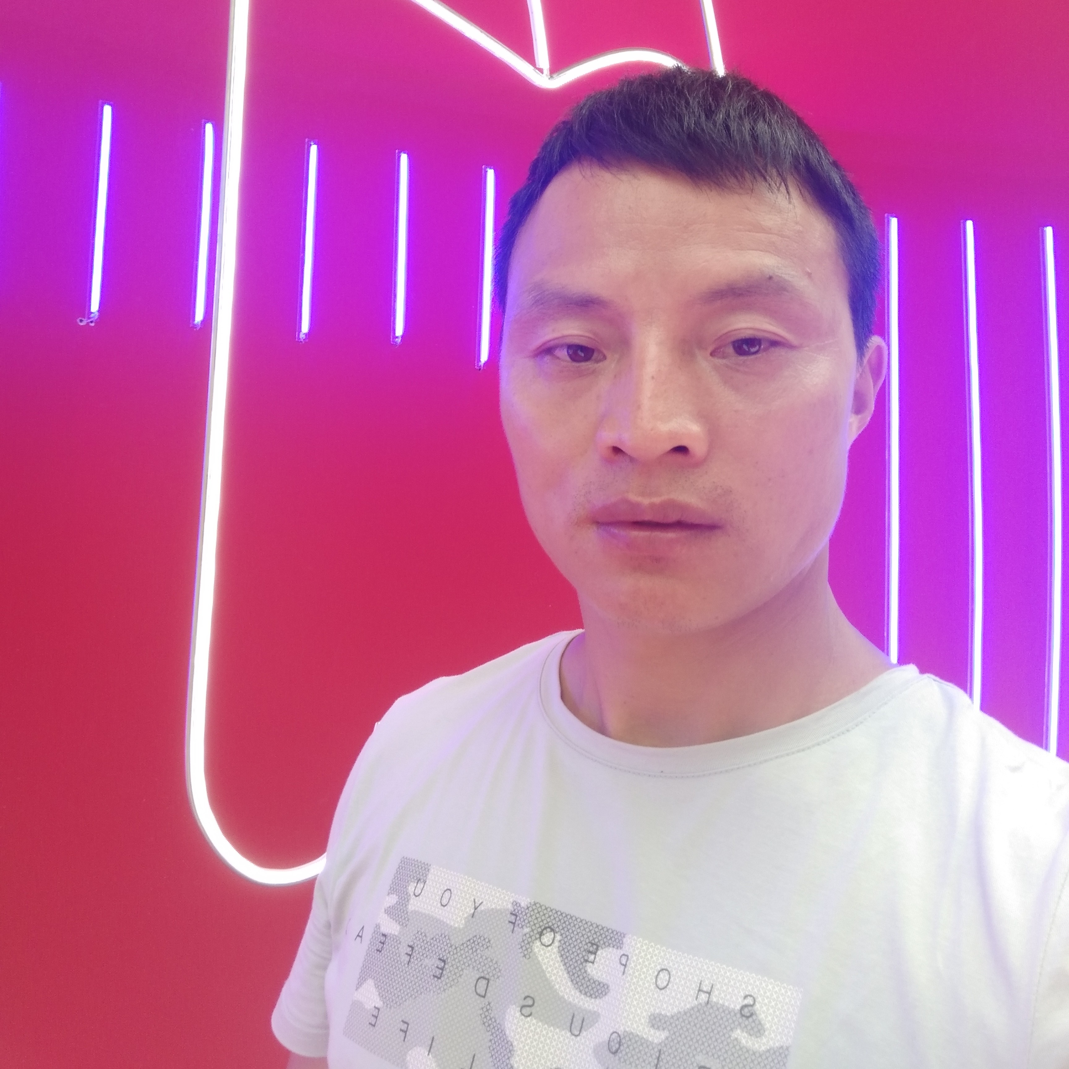 小懒猪邂逅美好的照片