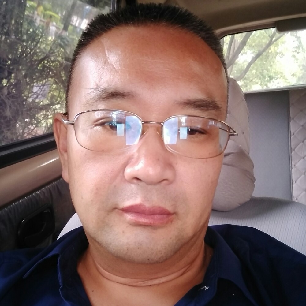 黑松鼠的照片