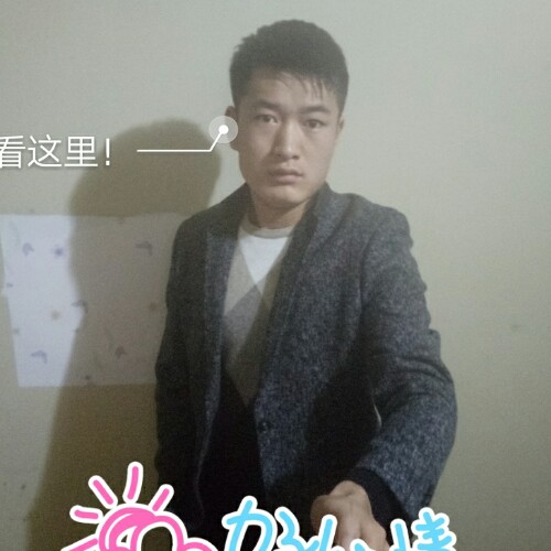 龙abcde的照片