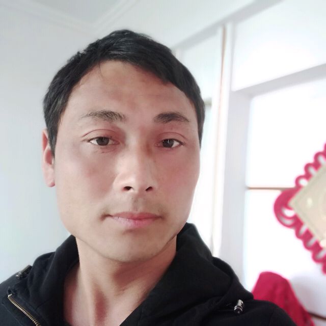 小蜜蜂给高大的照片