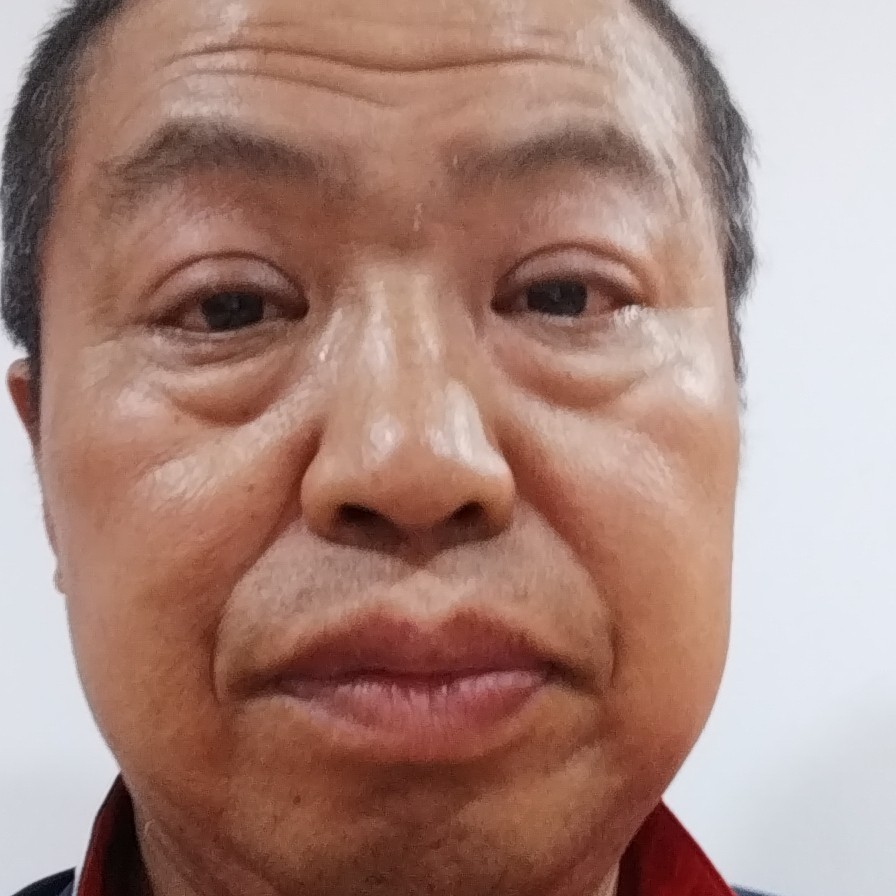 黑猫吃醋安静的照片