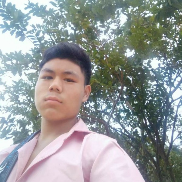 柠檬泪的照片