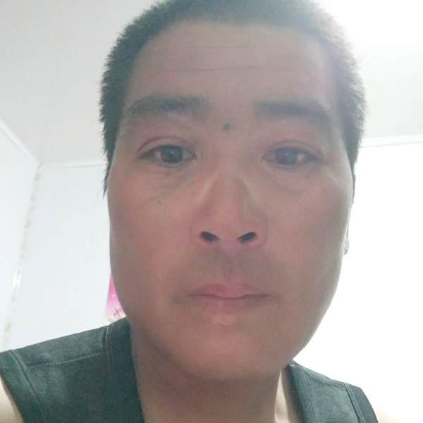 俊逸愿绿茶的照片