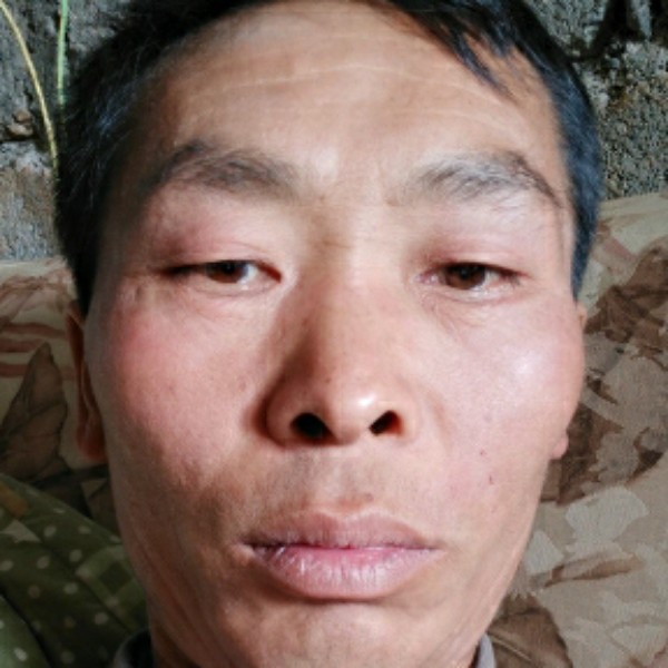彩钢瓦铝瓦树脂瓦的照片