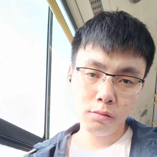 朴实长颈鹿的照片