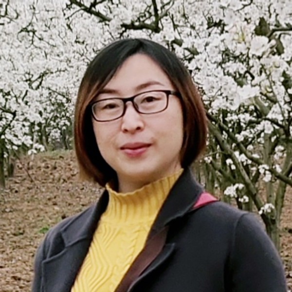 晓芳的窝窝的照片