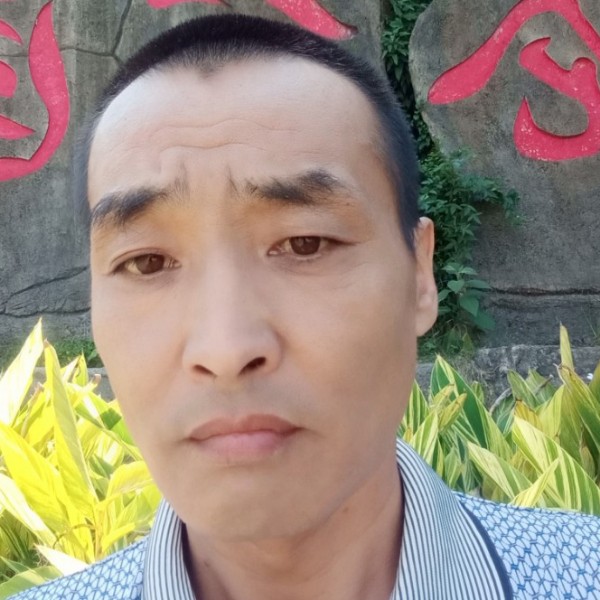 枕头欢喜的照片