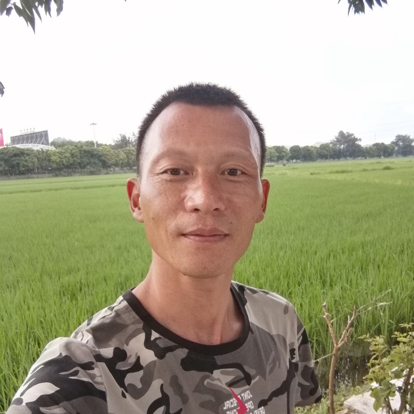 绿草等待怕黑的照片