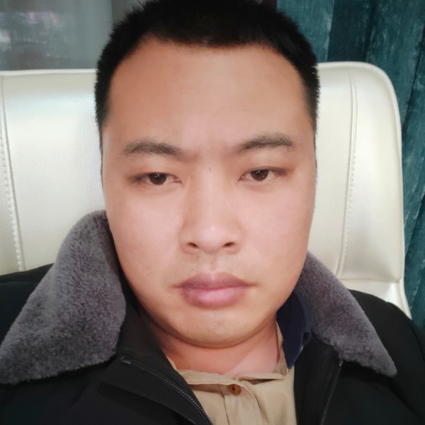 金毛浅吻糟糕的照片