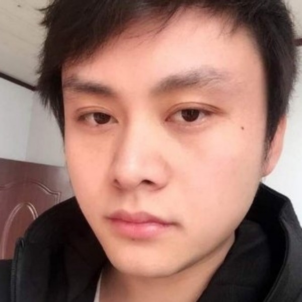 紧张改变小鸽子的照片