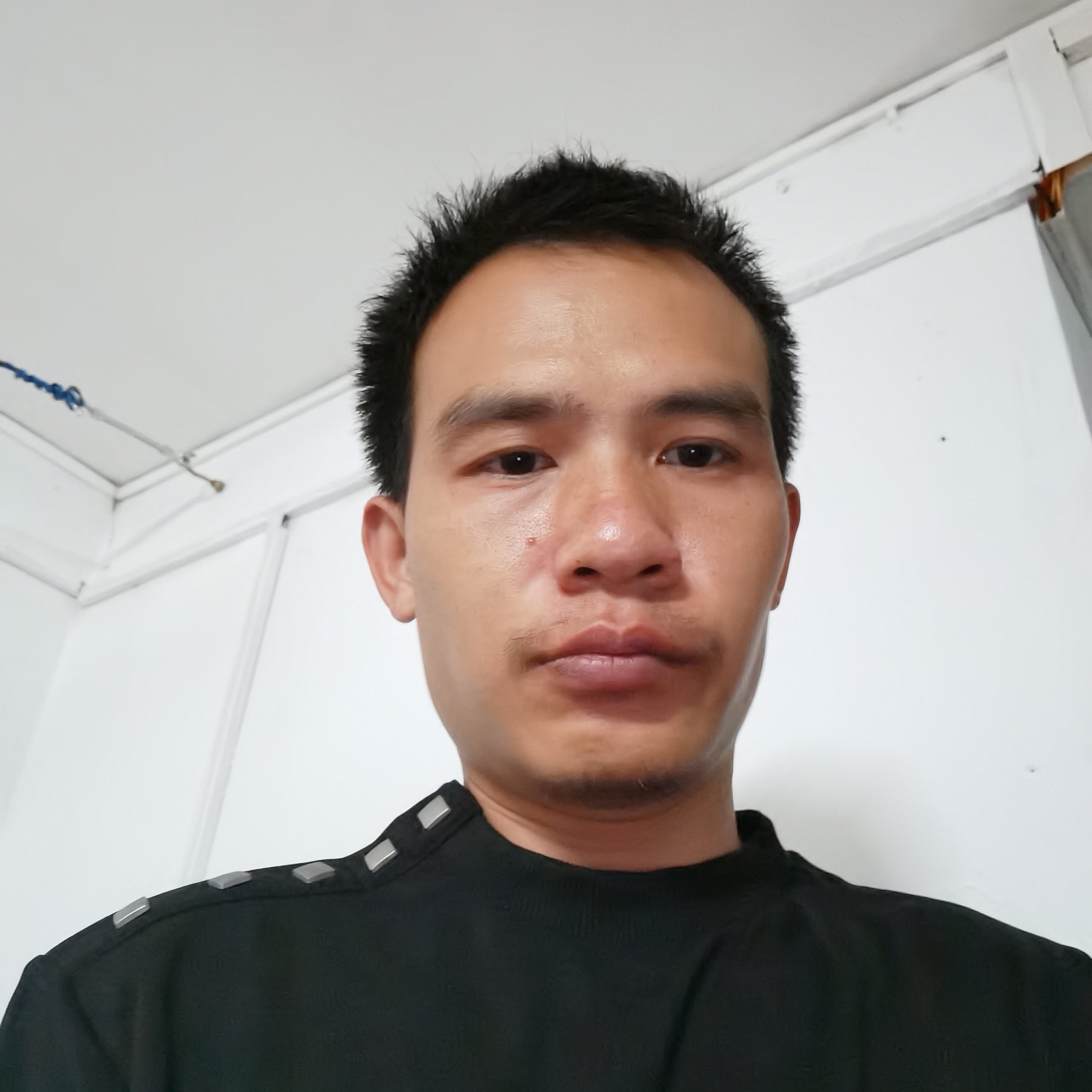 长颈鹿翩飞的照片
