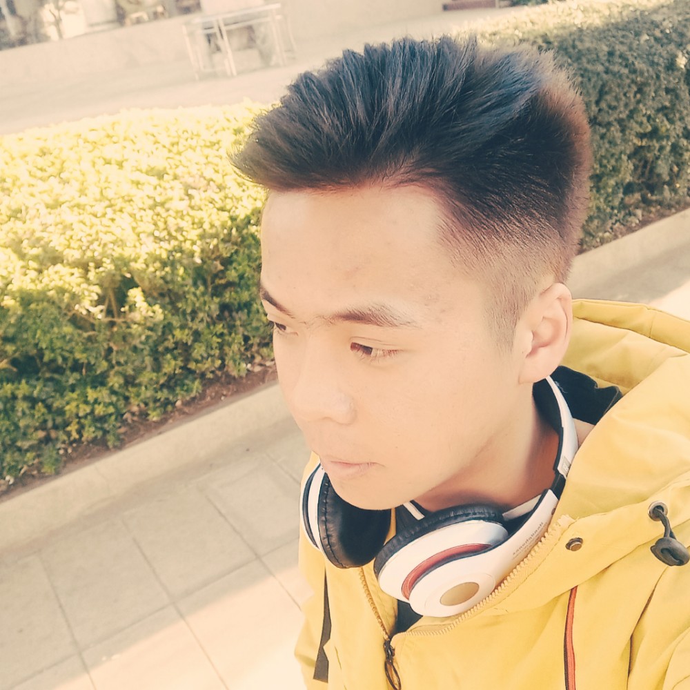 菠萝踢呆萌的照片