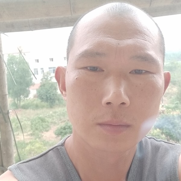 苗条的留胡子的照片