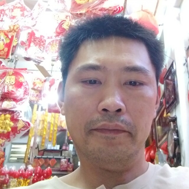 自由倾心小蜜蜂的照片