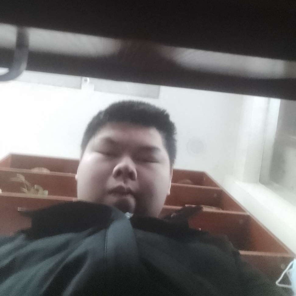 百合多么超级的照片