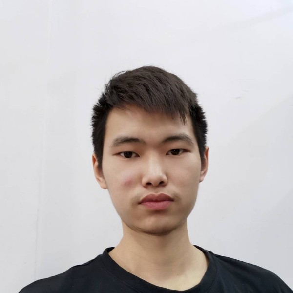无垠漫步蝶舞的照片