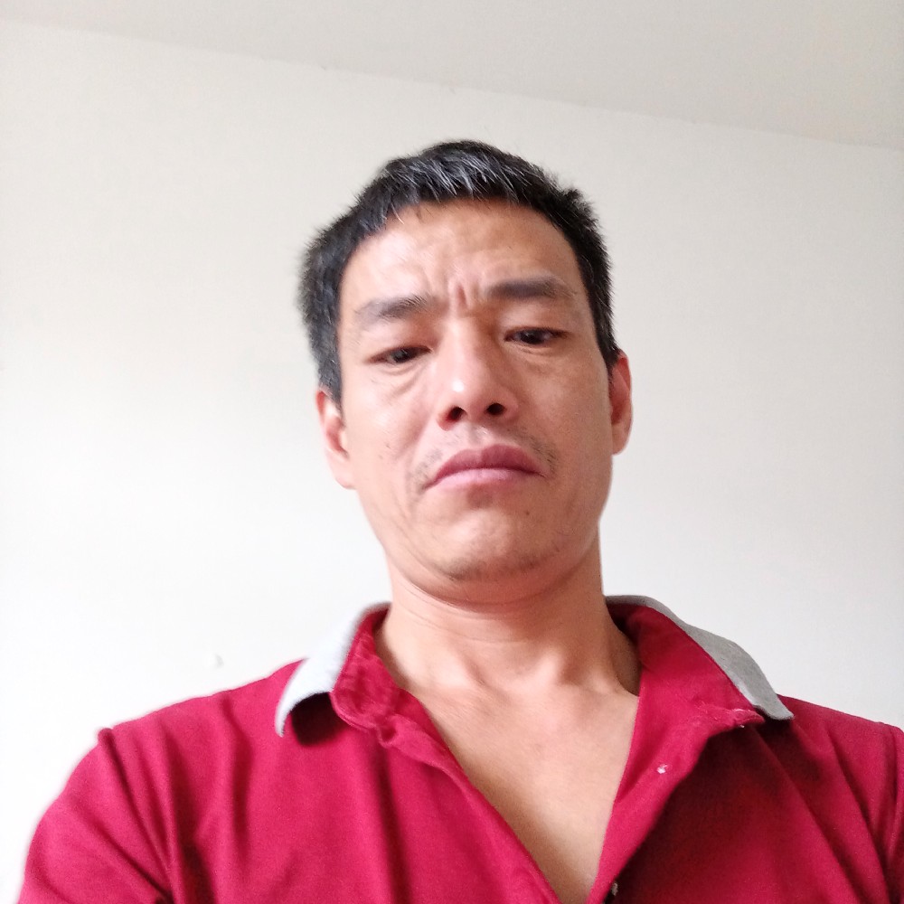 杨泓的照片