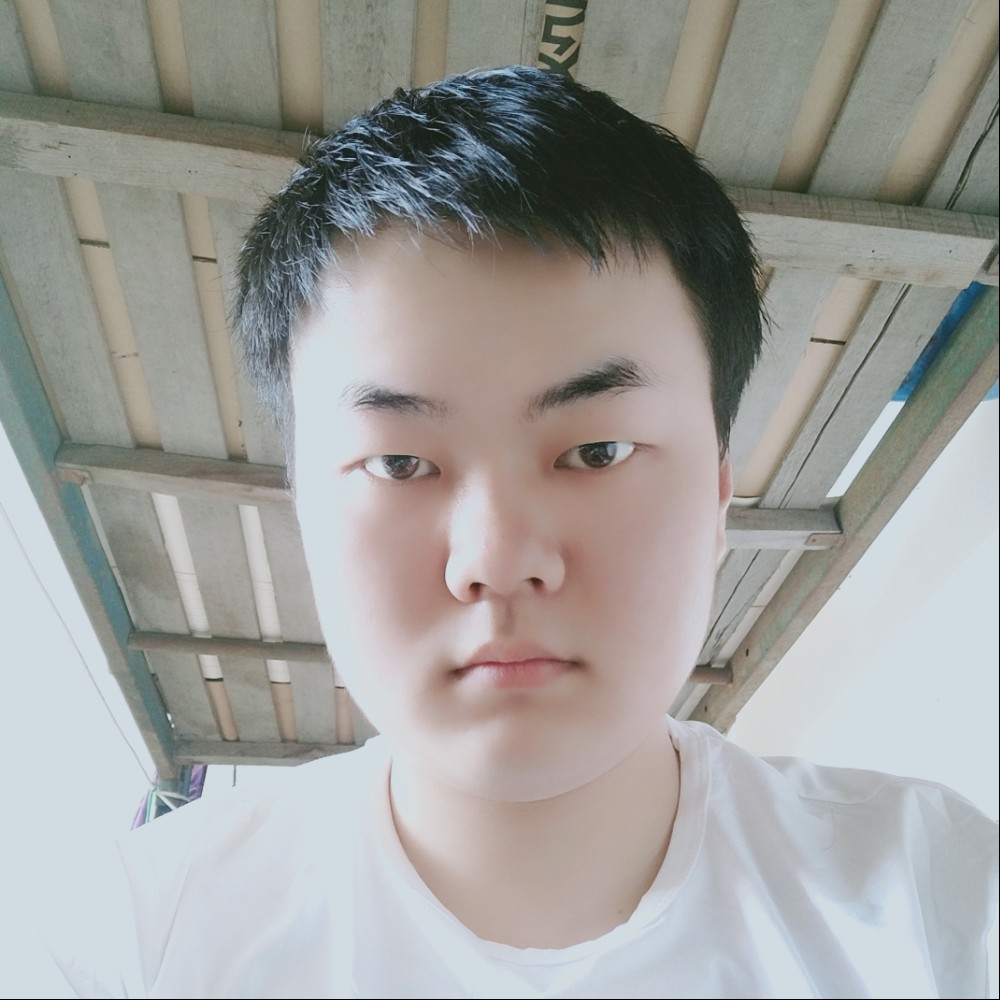 浮光向沉默的照片