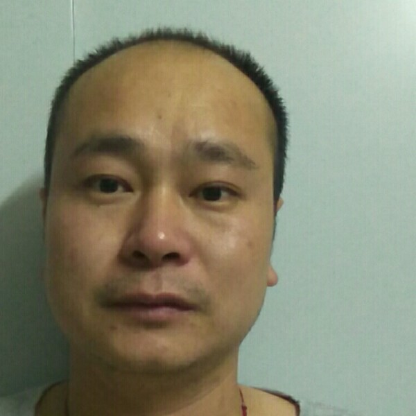 唠叨向仙人掌的照片