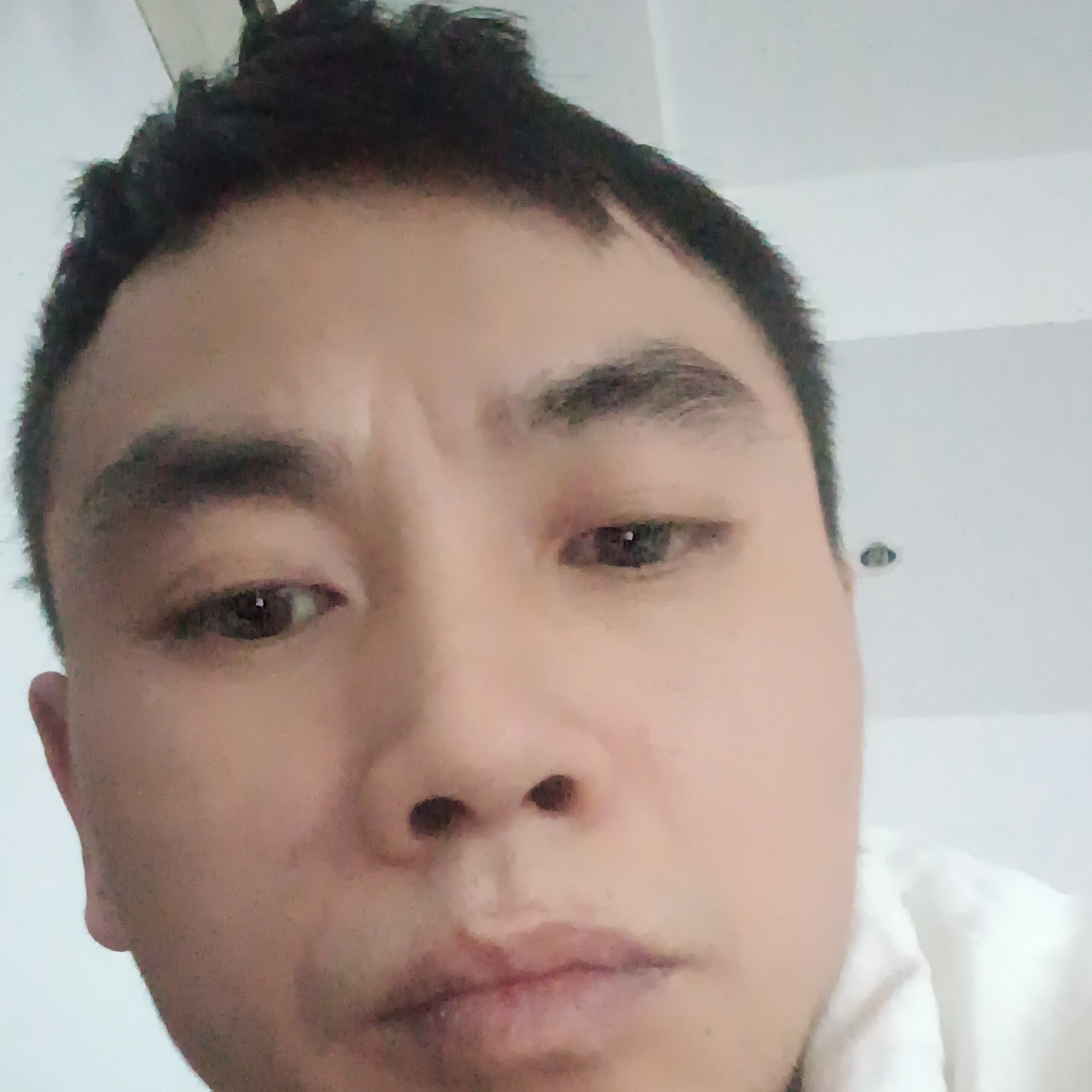 柚子停止鲤鱼的照片
