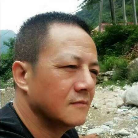 雪狼的照片