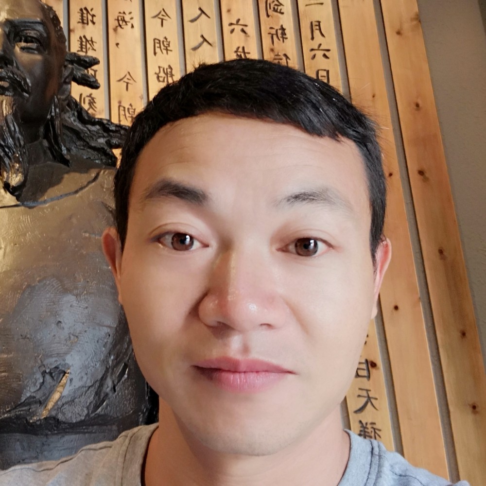 灰狼听话的照片
