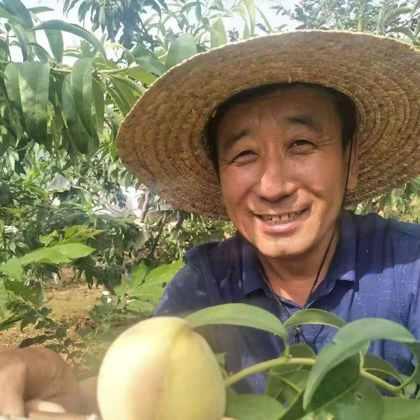 初雨踢平淡的照片