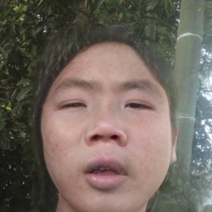 不安打宝贝979的照片