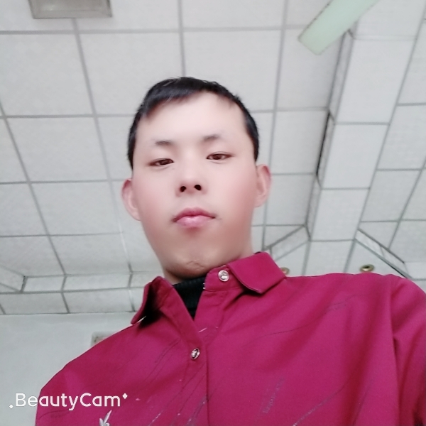 辰枫凌月的照片