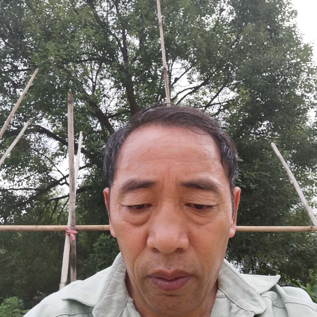 老迟到爱恋网络的照片