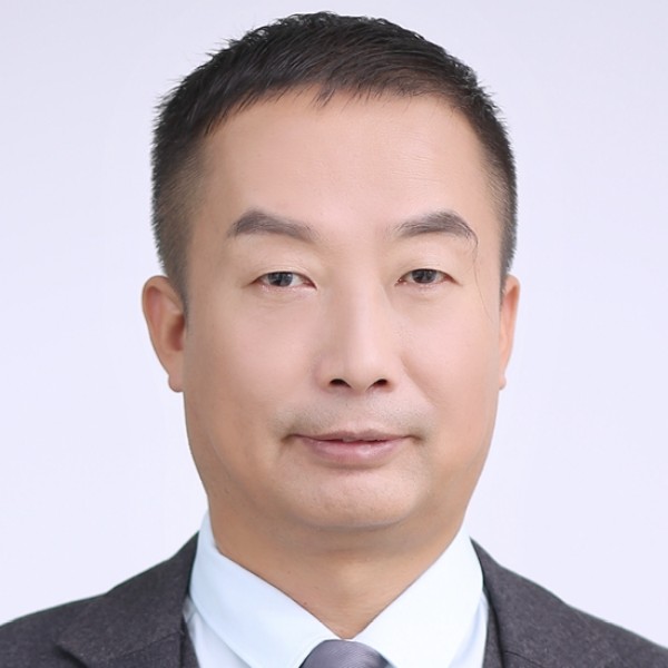 小鸽子爱飞翔的照片