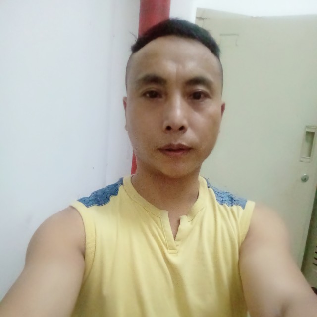 虚拟邂逅黄蜂的照片