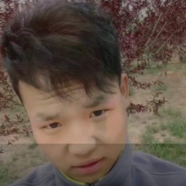 砖头保卫安静的照片