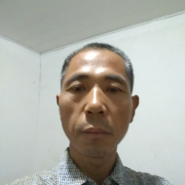 玉羊的照片