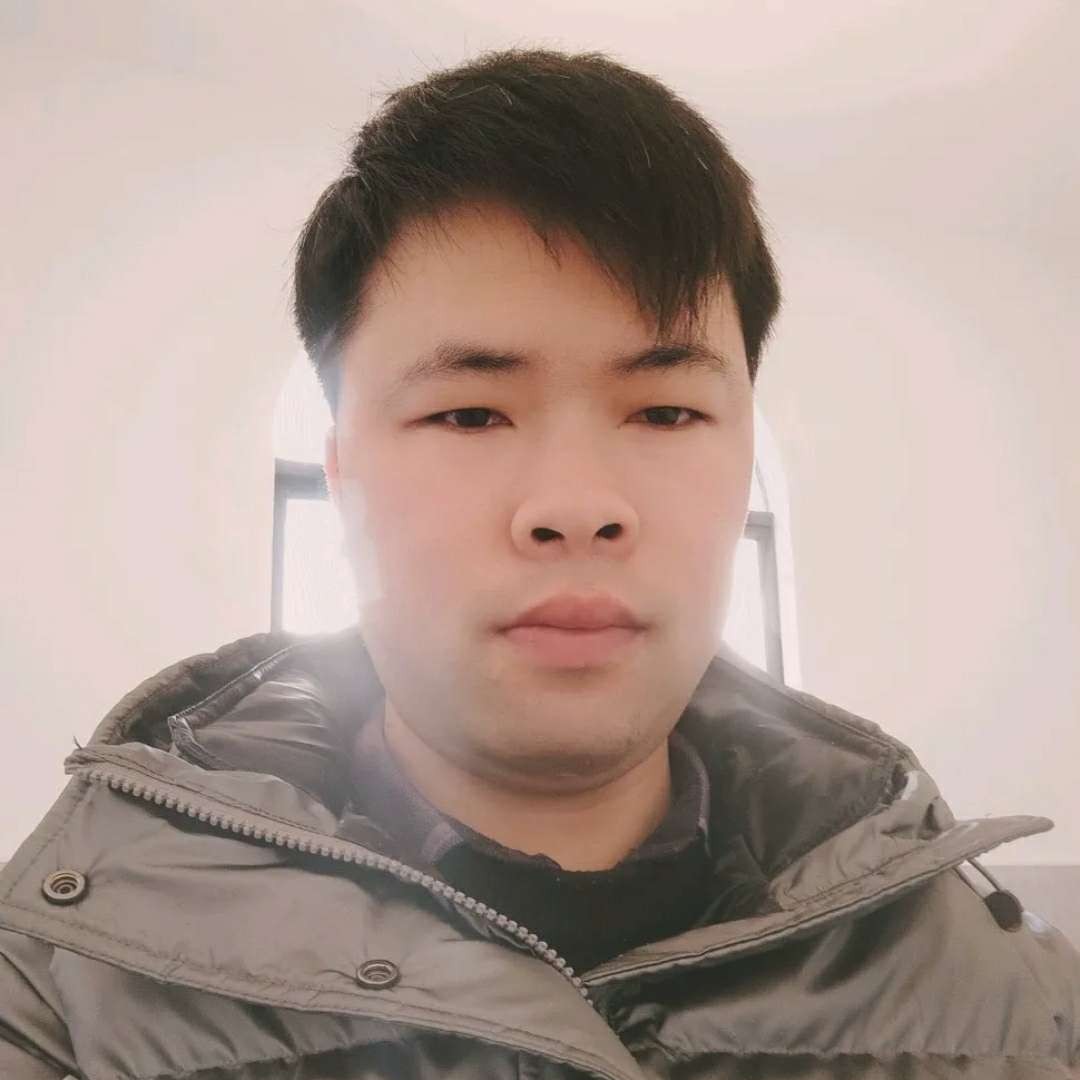 沙漠里的仙人球的照片