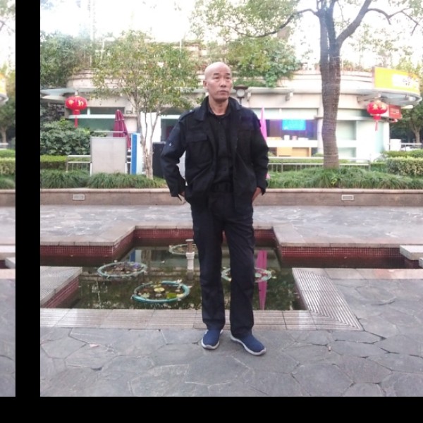 一剪梅之梅的照片