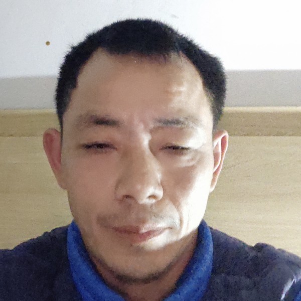 沉静向棒球的照片