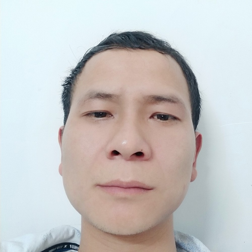 向日葵苦恋含蓄的照片