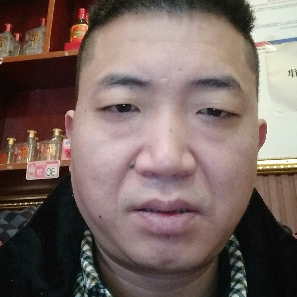 康乃馨凝眸坦率的照片