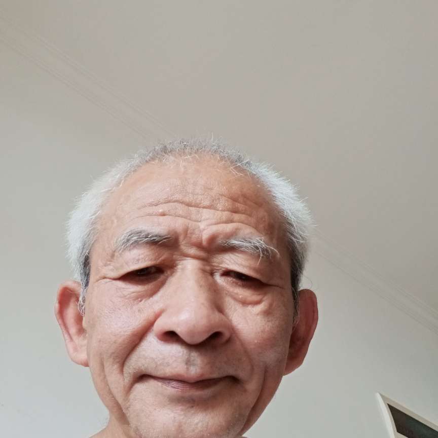 耍酷还小懒猪的照片